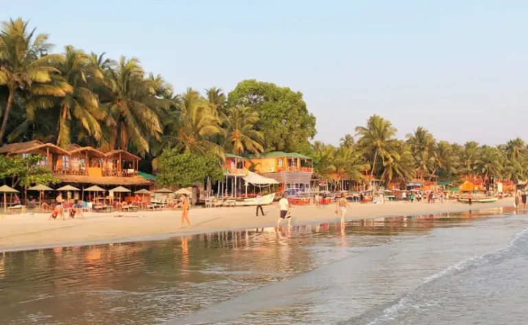 Exploring 20 Best Places to Visit in South Goa